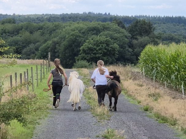 Drei Personen spazieren mit einem Schaf und einem Pferd auf einem Weg durch die Natur.